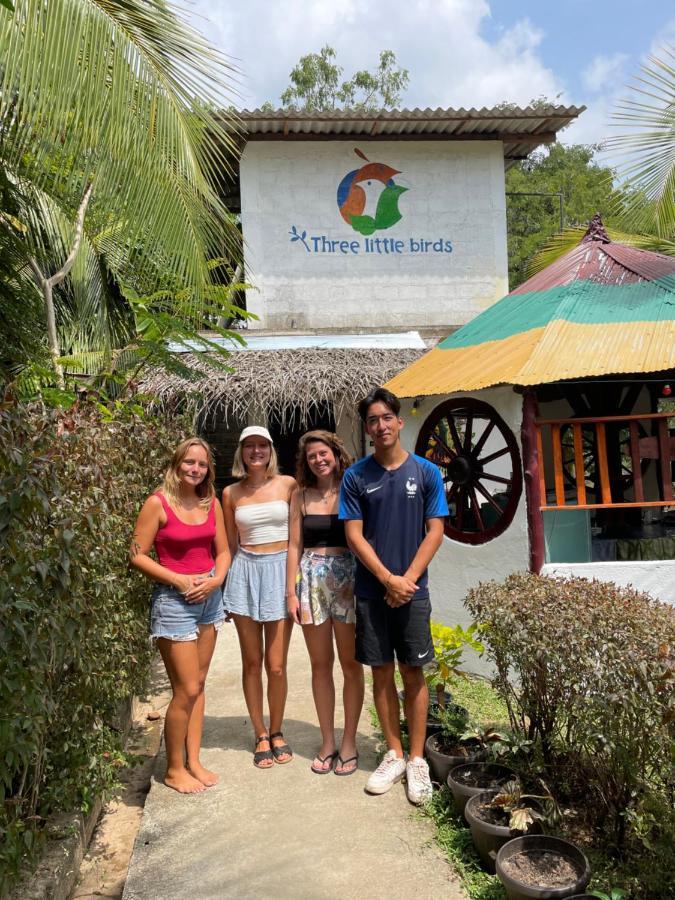 Three Little Birds Hotel Tangalle Exterior foto
