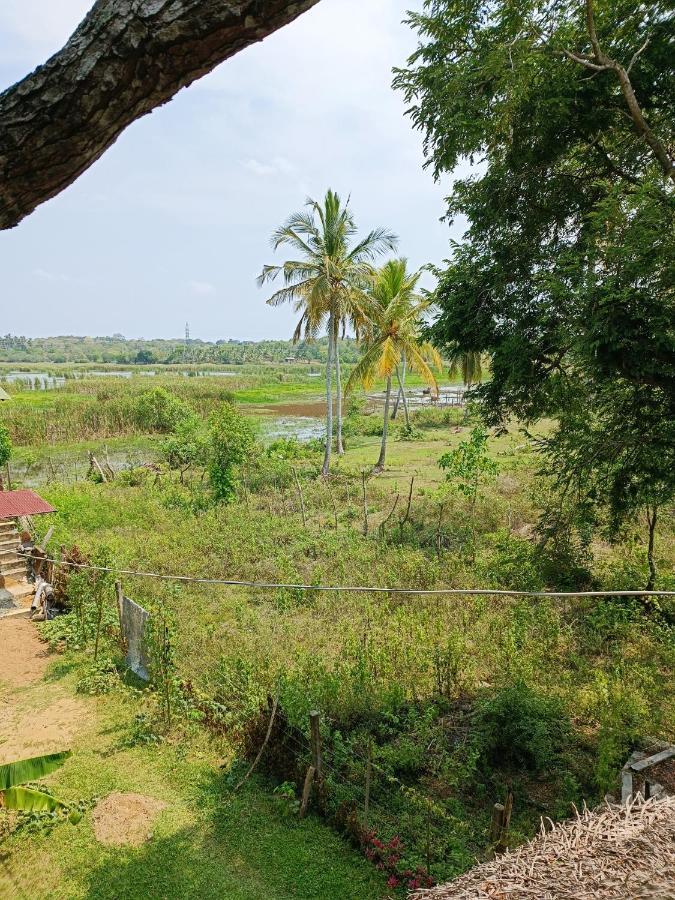 Three Little Birds Hotel Tangalle Exterior foto