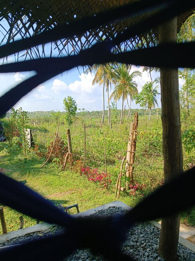 Three Little Birds Hotel Tangalle Exterior foto