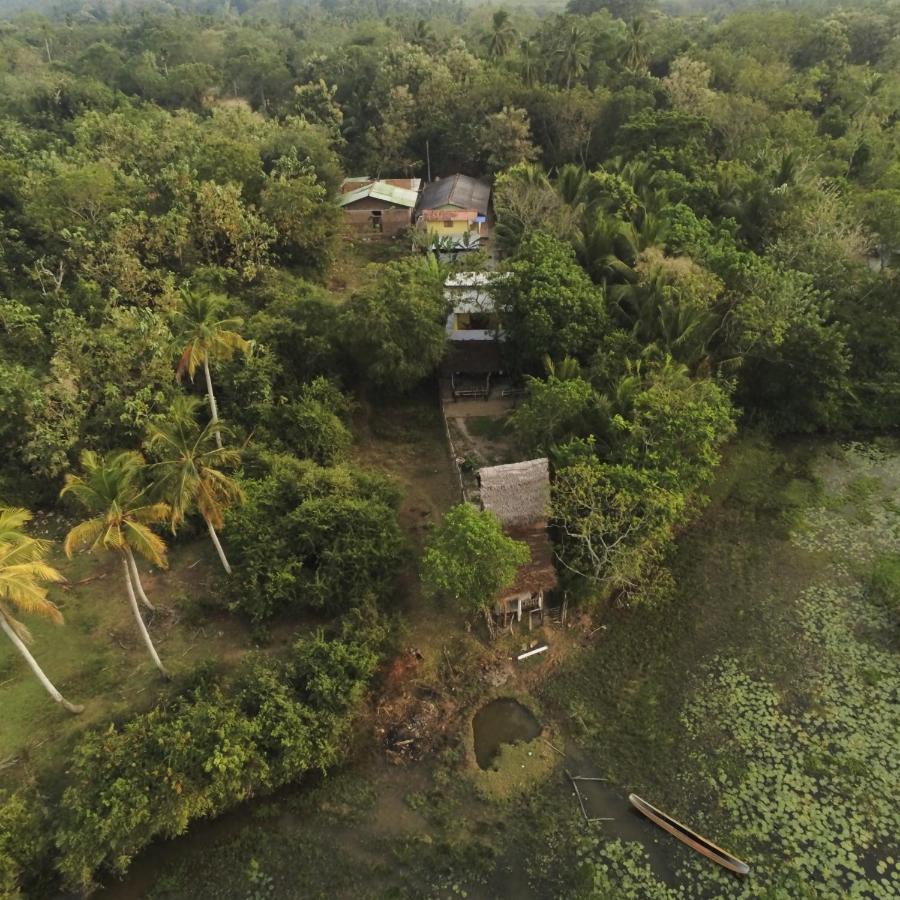Three Little Birds Hotel Tangalle Exterior foto